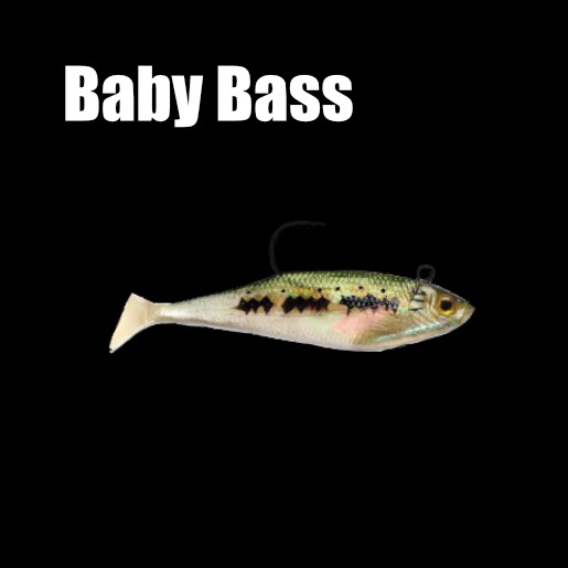 https://underwaterfishlight.com/wp-content/uploads/2021/07/Baby-Bass.jpeg