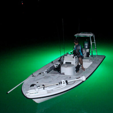 HUSUKU FS0-2 LED Underwater Fishing Light, 12V or 110V 16inch 200W