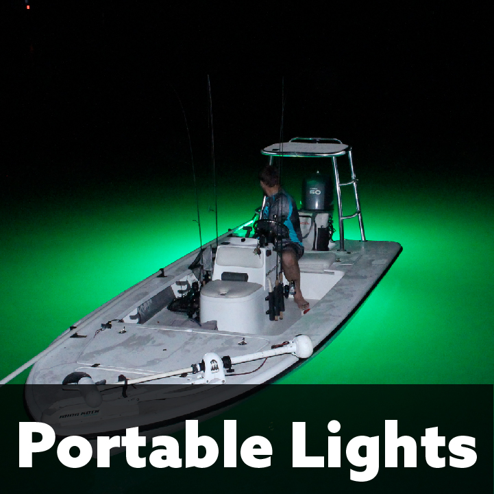 PortableLights2x1002 Underwater Fish Light