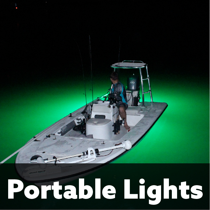 PortableLights2x100 Underwater Fish Light