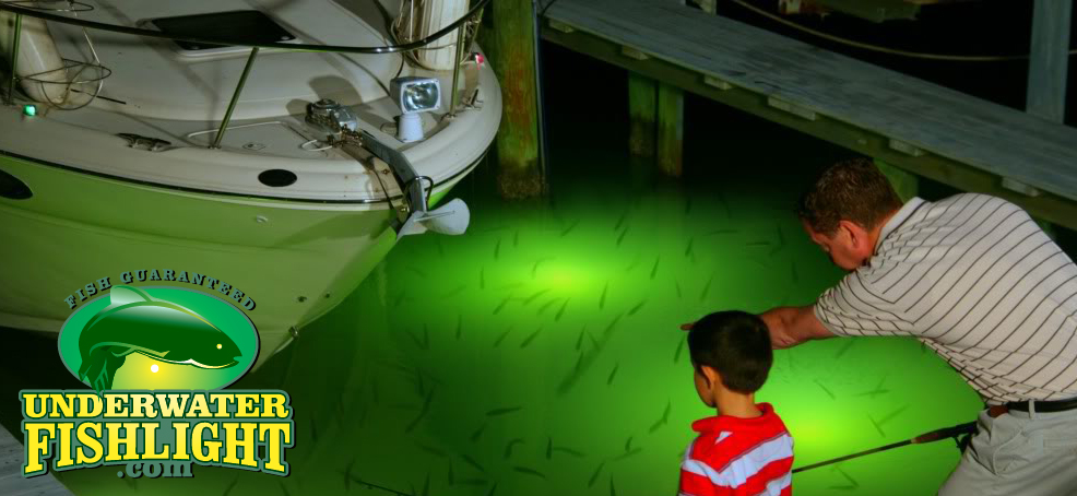 Classic Triple Fish Light For Docks – Underwater Fish Light