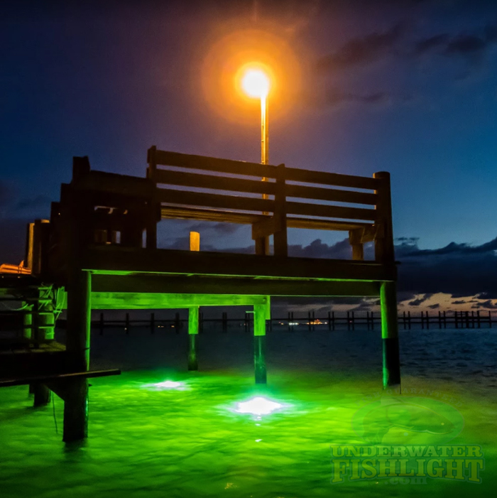 FISHNLIGHT.com's BL200 and DC100 Underwater Fishing Lights Review by  Florida Lobstering