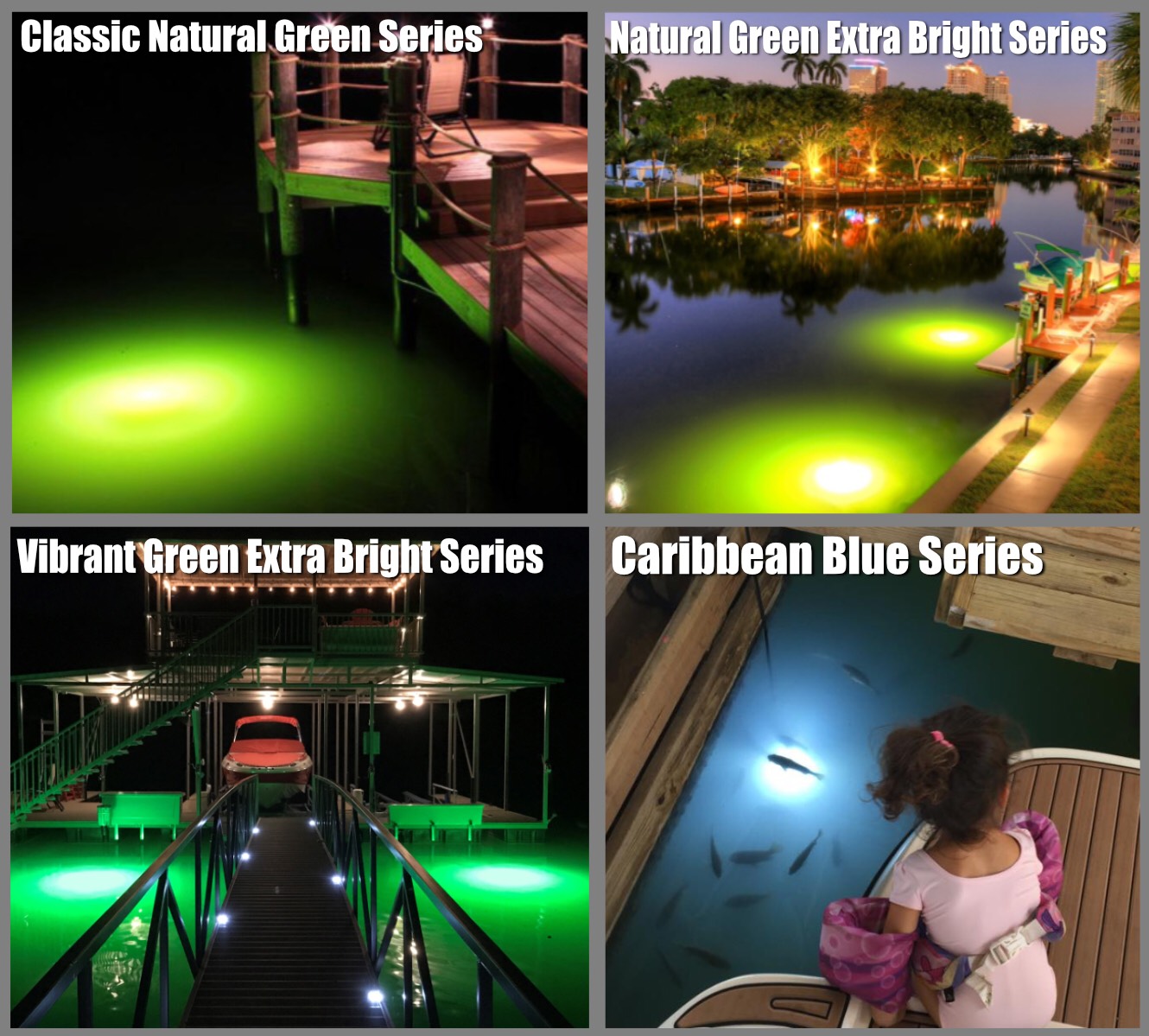 file11 Underwater Fish Light