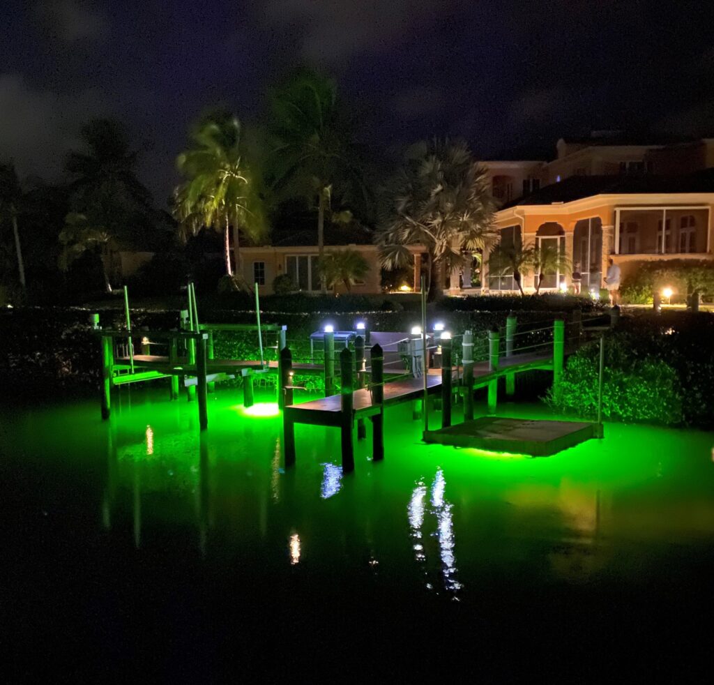 Why Are Dock Lights Green? – Underwater Fish Light