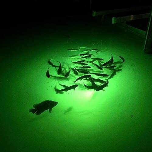 Fish Guaranteed Unde 175W Underwater Single Dock Light for Fresh Water or Salt Water, Easy to Install, Attracts Fish, Dusk to Dawn Operation, Green