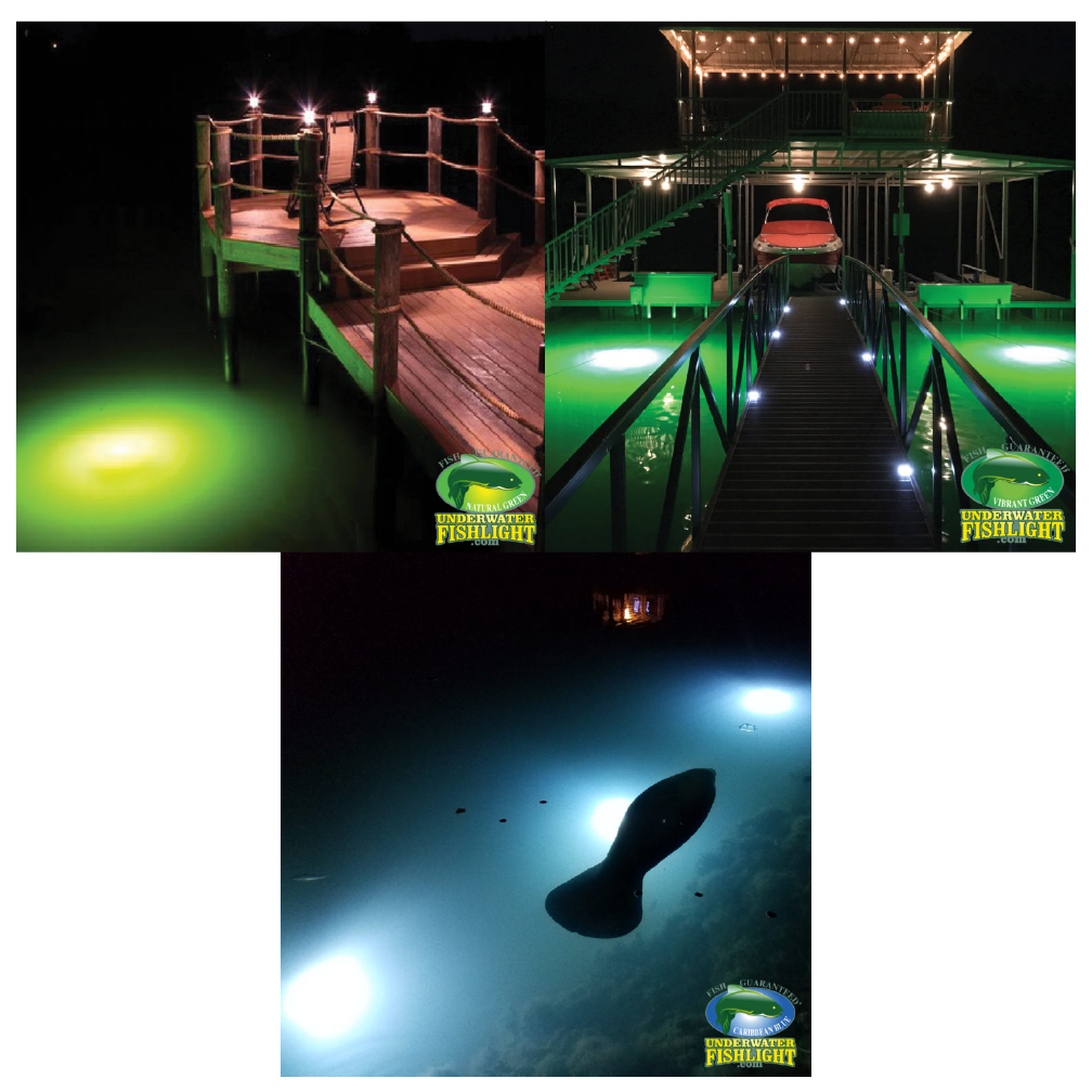 Dock Light Color Variations – Underwater Fish Light