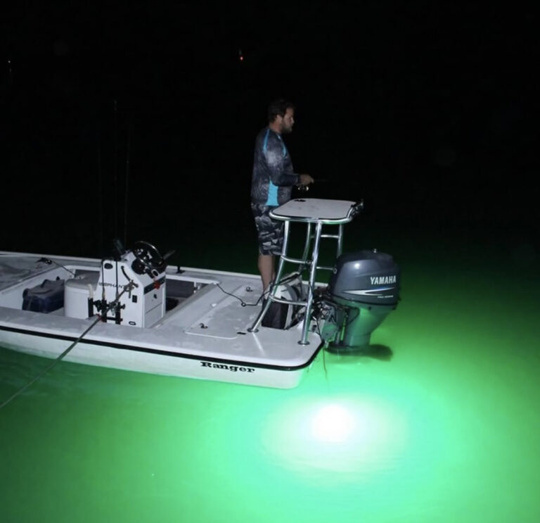 Garrete High Power 12V 100W Night Fishing Underwater Fishing Light Lure  Fish Light Green Light … … : Buy Online at Best Price in KSA - Souq is now  : Sporting Goods