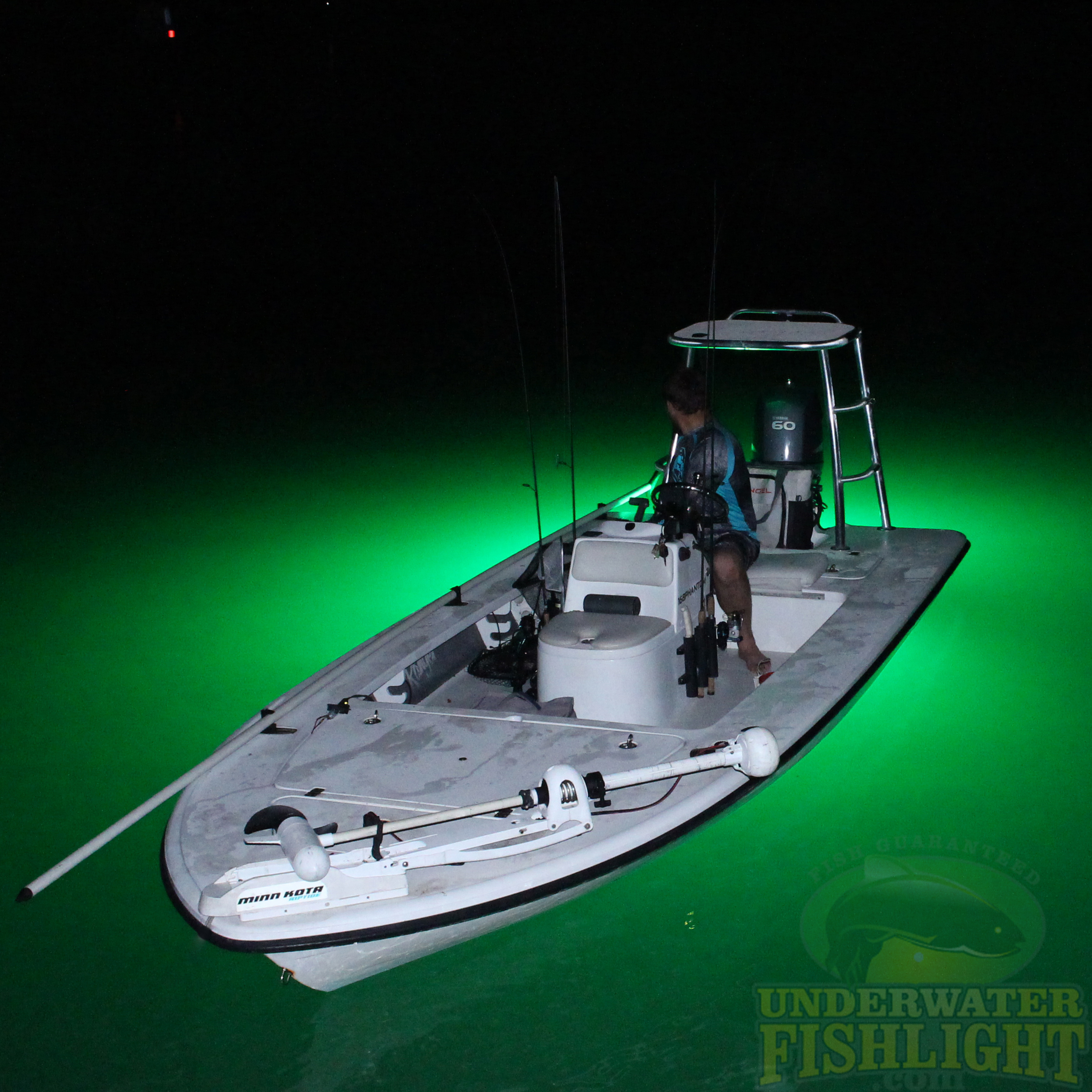 LED fishing Lights