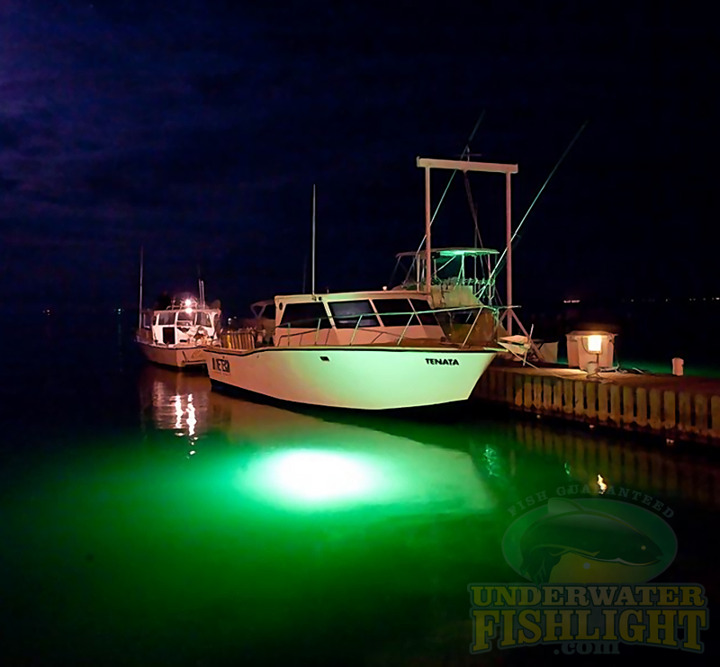 My new fish lights on my boat