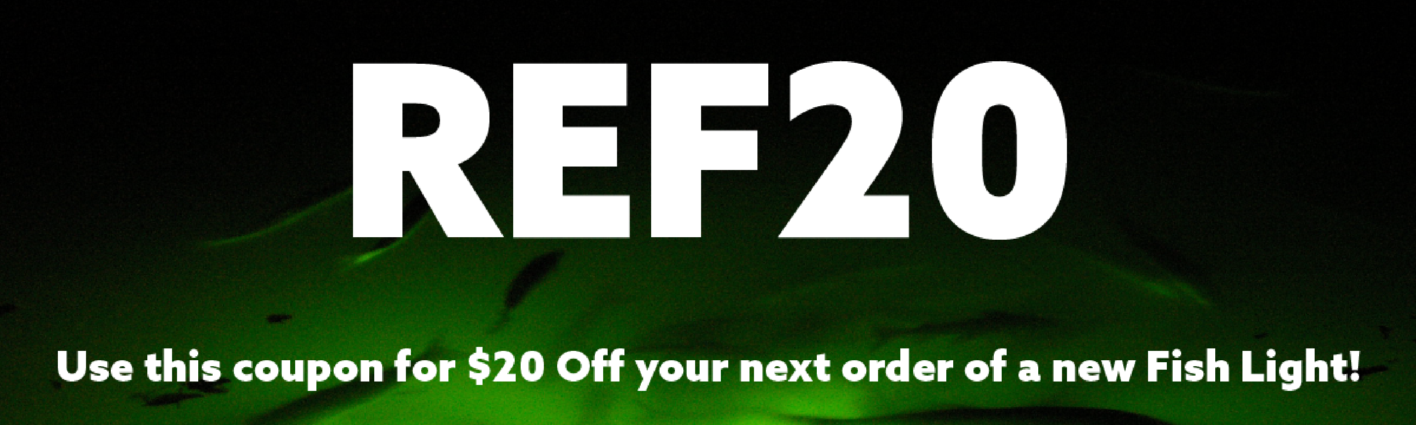 Fish Light Referral Program Underwater Fish Light