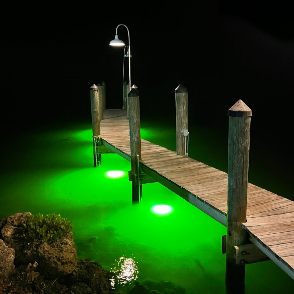 Brightest Fish Lights In Corpus Christi, TX – Underwater Fish Light